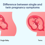 single and twin pregnancy
